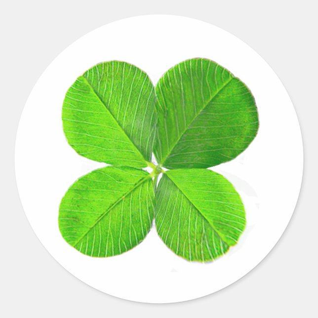 Pegatina Redonda Cuatro Atrapos De Hojas El MUSEO Zazzle Regalos (Anverso)