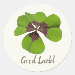 Pegatina Redonda Cuatro hojas Lucky Clover St Patricks Day Buena Su