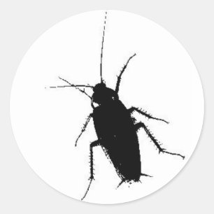 Pegatina Redonda cucaracha