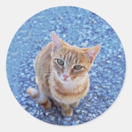 Pegatina Redonda Cuddle me