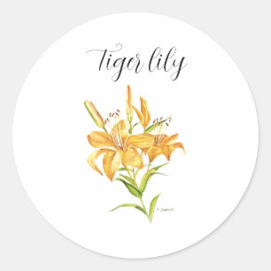 Pegatina Redonda Cuello de agua de la liga de tigre amarillo