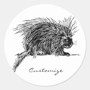 Pegatina Redonda Cuidada y brillante Hedgehog Thunder_Cove