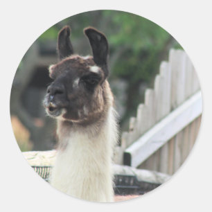 Pegatina Redonda ¡Cuidado con la llama!