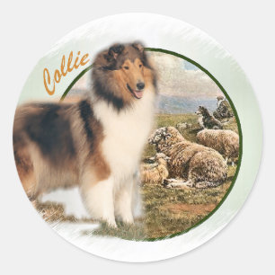 Pegatina Redonda Cuidador de collie rudo de la oveja