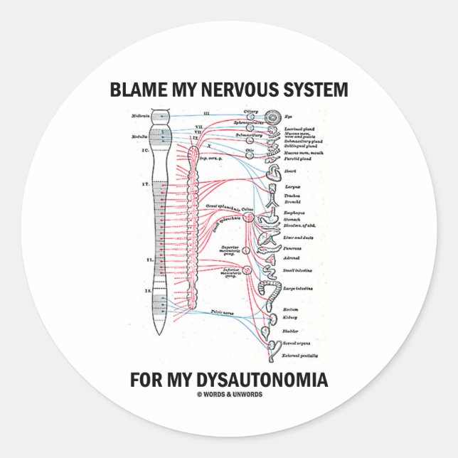 Pegatina Redonda Culpe mi sistema nervioso por mi Dysautonomia (Anverso)