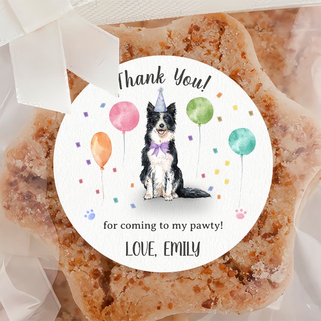 Pegatina Redonda Cumpleaños de Collie Dog Fronterizo Gracias (Subido por el creador)