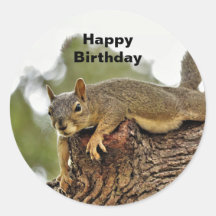 Cumpleaños de la ardilla de recuperación de árbole