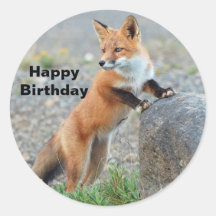 Cumpleaños de Red Fox