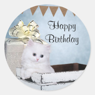 Pegatina Redonda Cumpleaños del gatito persa blanco