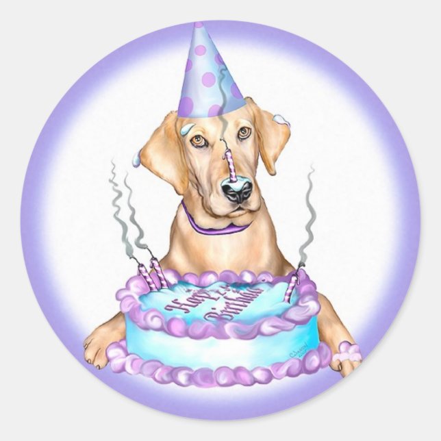 Pegatina Redonda Cumpleaños del Yellow Lab Cake Face (Anverso)