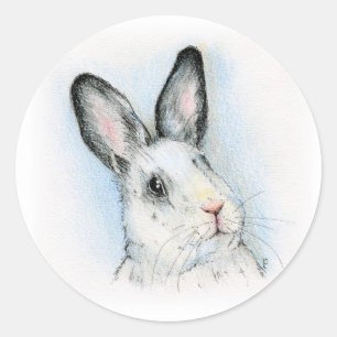 Pegatina Redonda Curioso