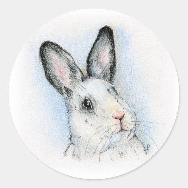 Pegatina Redonda Curioso (Anverso)