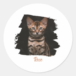 Pegatina Redonda Customized pet photo with name