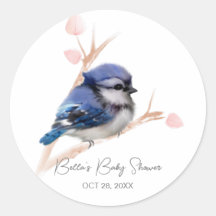 Cute Baby Blue Jay Baby Shower
