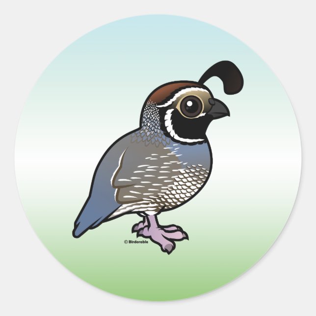 Pegatina Redonda Cute California Quail (Anverso)