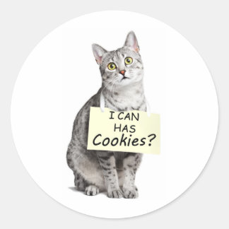 Pegatina Redonda Cute Cat pregunta si puedo tener cookies?