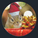 Pegatina Redonda Cute Chipmunk Merry Christmas<br><div class="desc">Este lindo chipmunk con un sombrero de Santa está asomando por detrás de un brillante regalo rojo de Navidad y una reverencia dorada para desearle "fiestas de pimienta" para la temporada.</div>