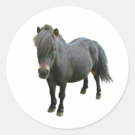 Pegatina Redonda Cute Dartmoor Pony
