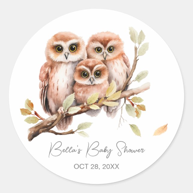 Pegatina Redonda Cute Gender Neutral Owl Baby Shower (Anverso)