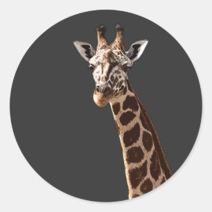Pegatina Redonda Cute Giraffe Te Está Mirando!