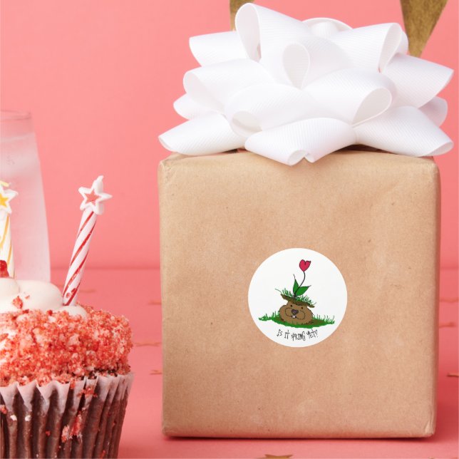 Pegatina Redonda Cute Groundhog busca primavera (Fiesta)