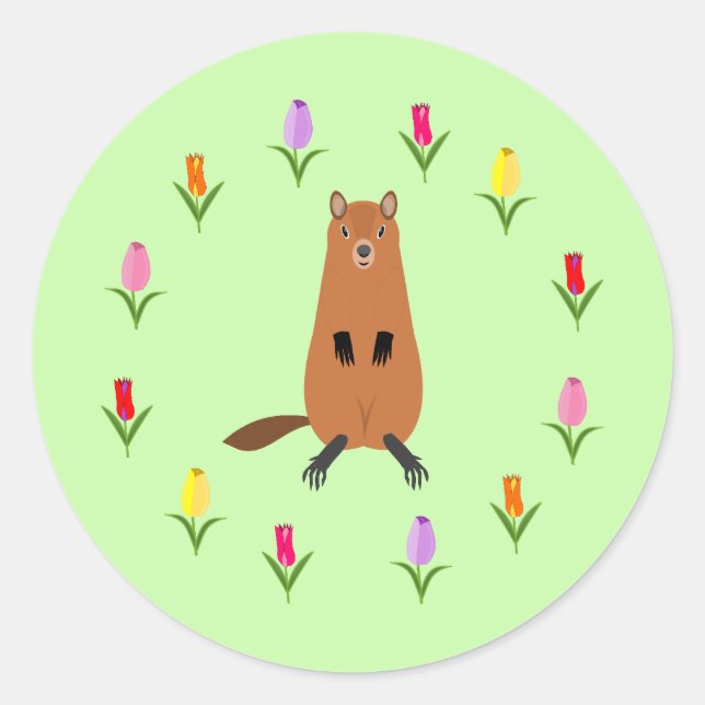 Pegatina Redonda Cute Groundhog y Tulip Flowers (Anverso)