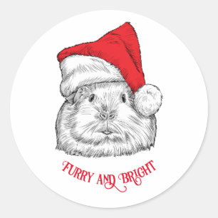 Pegatina Redonda Cute Guinea Pig with Christmas hat, furry and brig