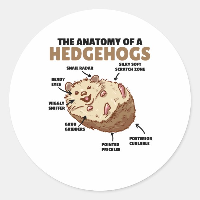 Pegatina Redonda Cute Hedgehog Explicación Anatomía De Un Hedgeogs (Anverso)