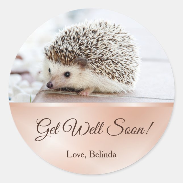 Pegatina Redonda Cute Hedgehog Rosa Oro te pondrás bien (Anverso)