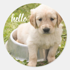 Pegatina Redonda Cute Hello Golden Retriever Puppy Dog