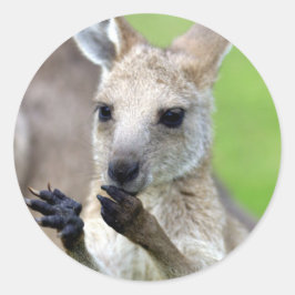 Pegatina Redonda Cute joey kangaroo
