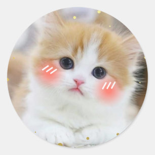 Pegatina Redonda Cute Kawaii Gatito Cara Sonrojada Sticker Redondo