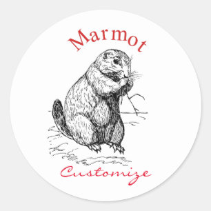 Pegatina Redonda Cute Marmot Animal Thunder_Cove