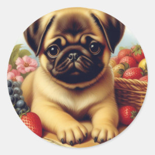 Pegatina Redonda Cute Pug Pintura de época