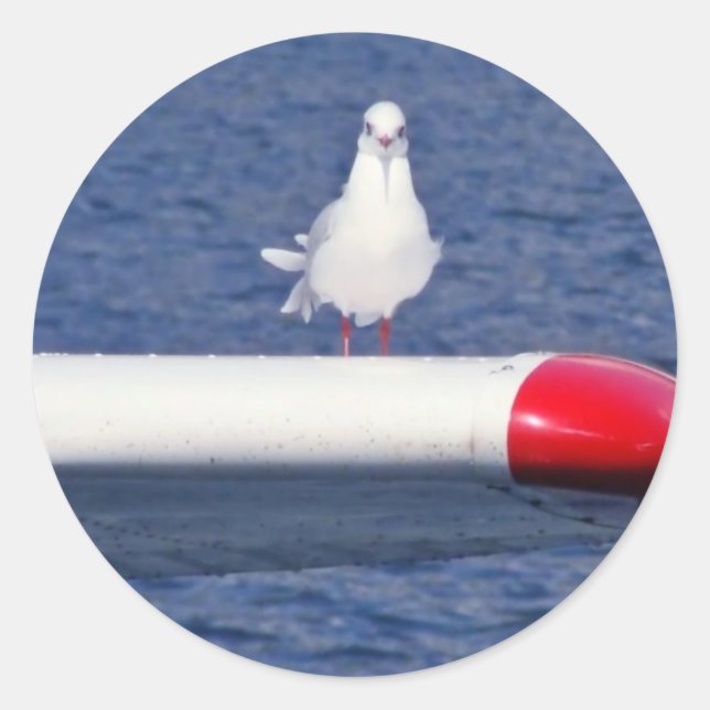 Pegatina Redonda Cute Seagull White - bordadores (Anverso)