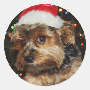 Pegatina Redonda Cute Yorkie con Santa Hat