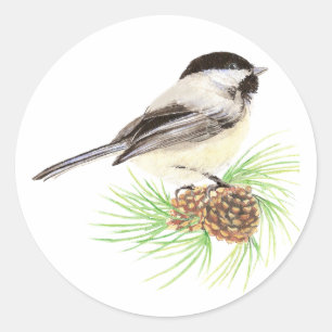 Pegatina Redonda Cuto acuarela Pollito Pino Árbol de pájaros