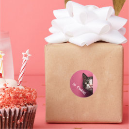 Pegatina Redonda Cuto Tabby Cat Peeks