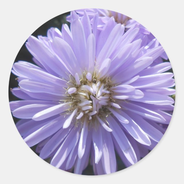 Pegatina Redonda Cyrene (Anverso)