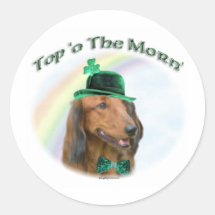 Pegatina Redonda Dachshund arriba de la mañana'; Dachshund St. Patr
