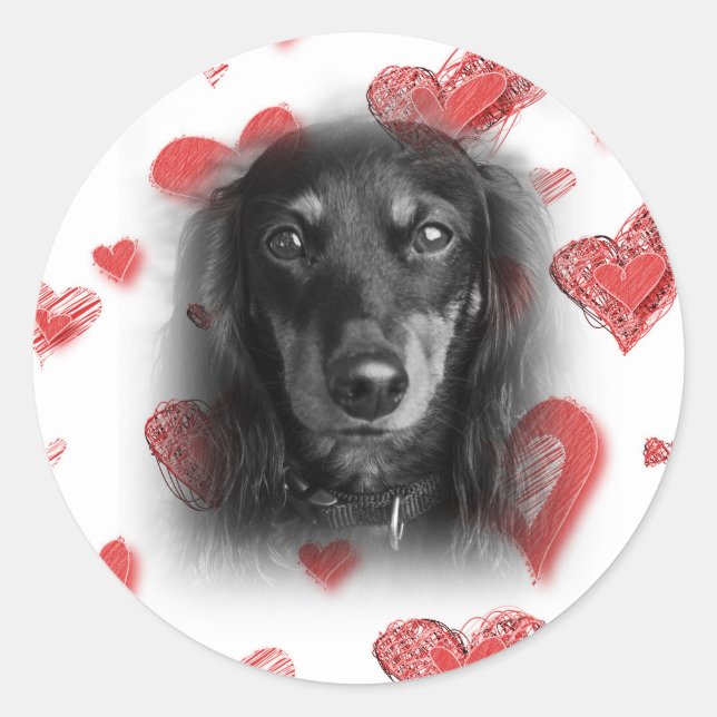 Pegatina Redonda Dachshund con corazones rojos (Anverso)