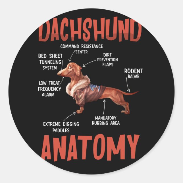 Pegatina Redonda Dachshund Cute para la anatomía de los amantes de  (Anverso)