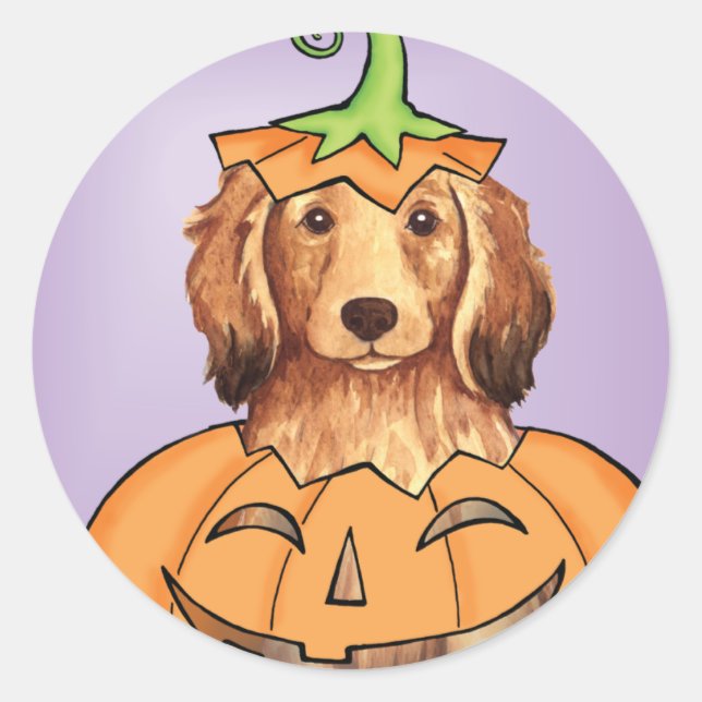 Pegatina Redonda Dachshund de cabello largo de Halloween (Anverso)