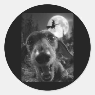 Pegatina Redonda Dachshund Divertido Selfie Luna Llena Bruja Volado