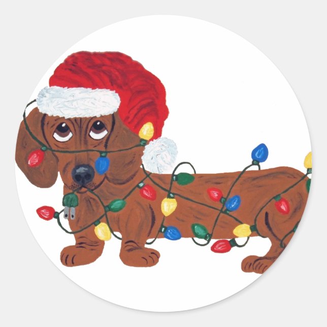 Pegatina Redonda Dachshund enredado en las luces de navidad (rojas) (Anverso)