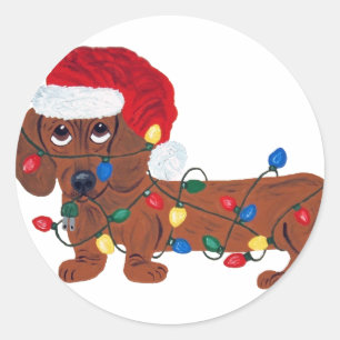 Pegatina Redonda Dachshund Enredado En Luces De Navidad 