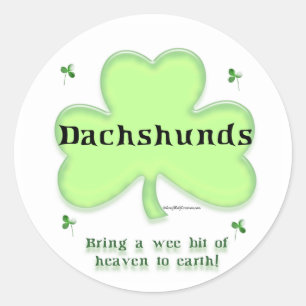Pegatina Redonda Dachshund Heaven; el día de San Patricio Dachshund