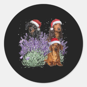 Pegatina Redonda Dachshund Lavender Navidades De Flor Regalo Por El