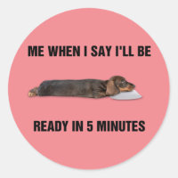 Dachshund me dijo que estaré listo en 5 minutos
