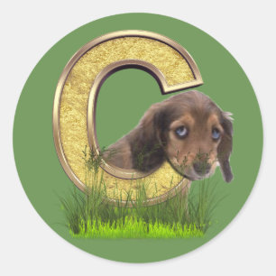 Pegatina Redonda Dachshund-Monograma, capital, letra C
